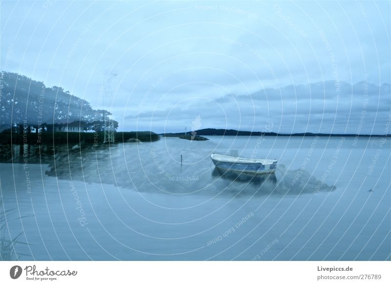 Blaue Stunden auf Rügen Natur Landschaft Pflanze Wasser Himmel Wolken Sommer Schönes Wetter Baum Küste Strand Hafenstadt Menschenleer Ruderboot blau schwarz