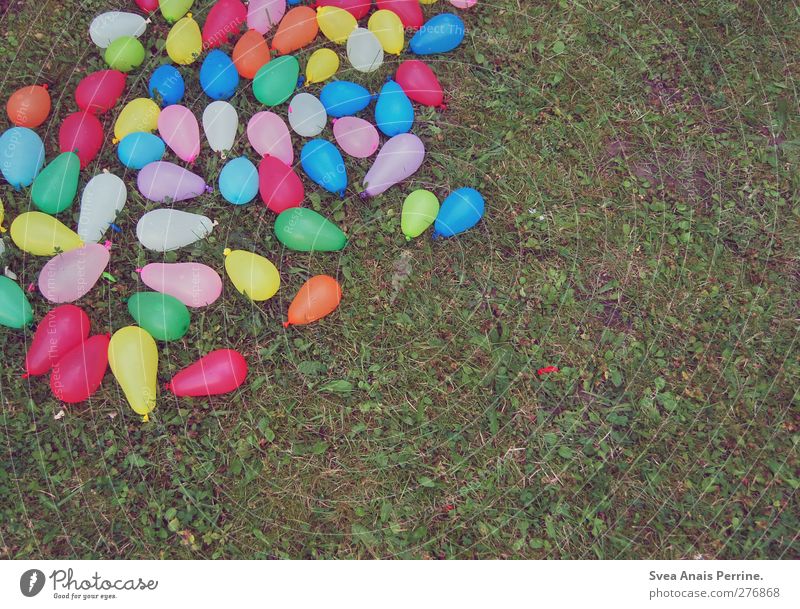 wasser bomben schlacht ahoi! Sommer Schönes Wetter Gras Wiese wasserbombe wasserbomben Luftballon liegen Erfolg Freundlichkeit Fröhlichkeit klein nass natürlich