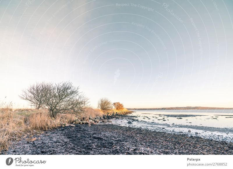 Küstenlinie in der Morgensonne mit Frost schön Ferien & Urlaub & Reisen Strand Meer Winter Natur Landschaft Himmel Wolken Horizont Wetter Baum Wald Felsen See