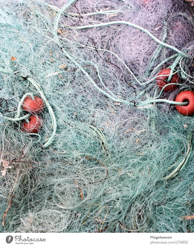 Netze auswerfen Ferien & Urlaub & Reisen Sommerurlaub fangen Zusammensein Kraft Fischer Fischereiwirtschaft Fischkopf Fischernetz Fischerboot Angeln