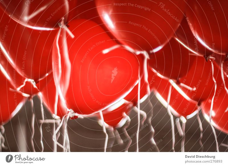 Heliumherzen Herz rot Schwerelosigkeit angekettet Schweben fliegen herzförmig Liebeserklärung Luftballon Schnur mehrere glänzend leuchten Gegenlicht