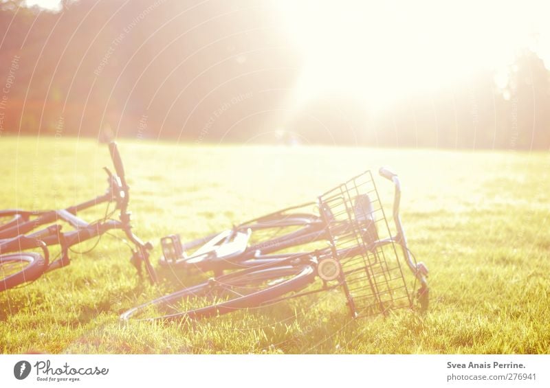 sonntags park! Natur Schönes Wetter Gras Park Wiese Fahrrad liegen hell Wärme Farbfoto Außenaufnahme Menschenleer Licht Lichterscheinung Sonnenlicht