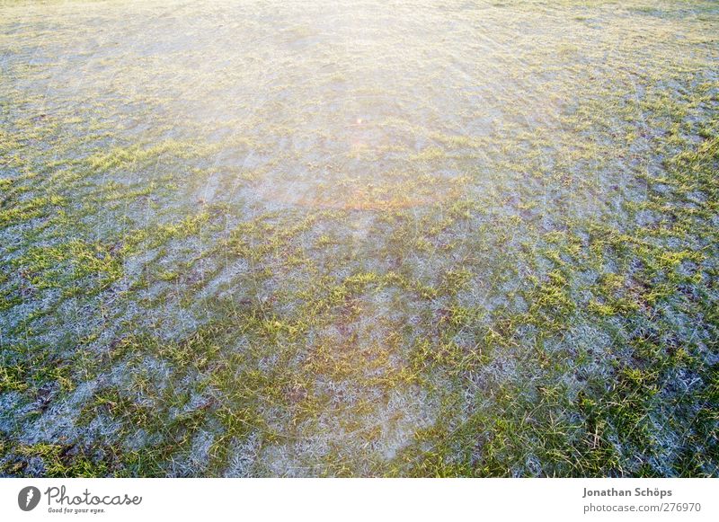 WWWW II Umwelt Natur Landschaft Winter Schönes Wetter Park Wiese ästhetisch Zufriedenheit Lebensfreude Frühlingsgefühle Schnee Rasen Gras grasgrün Tau