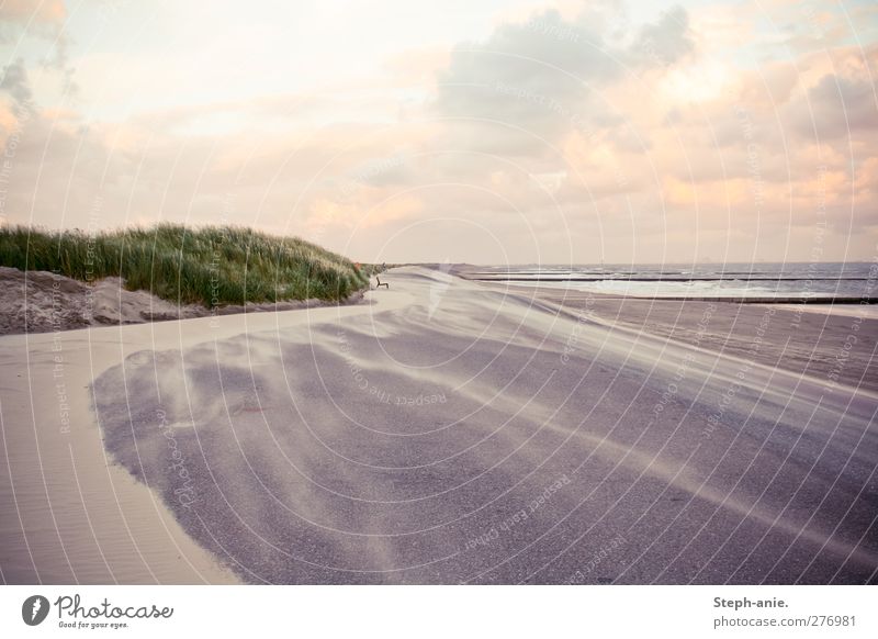 Magie Sand Wasser Himmel Wolken Horizont Sonnenaufgang Sonnenuntergang Schönes Wetter Wind Gras Wellen Küste Strand Nordsee Ostsee Meer Insel Borkum beobachten