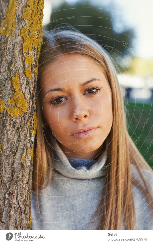 Hübsches blondes Mädchen im Park. Lifestyle Freude Glück schön Gesicht ruhig Freizeit & Hobby Frau Erwachsene Jugendliche Umwelt Natur Herbst Wetter Baum Gras