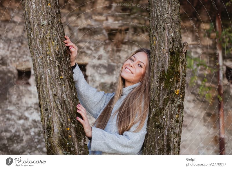 Schöne Frau neben dem Stamm eines Baumes Lifestyle Glück schön Gesicht Freiheit Sommer Mensch Erwachsene Natur Herbst Wind Park Wald Mode blond Lächeln Erotik