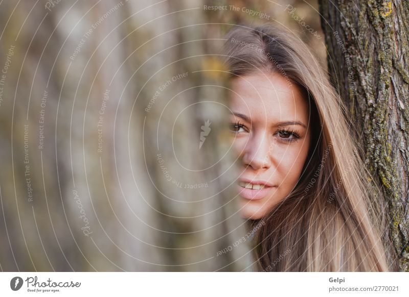 Schöne Frau hinter dem Stamm eines Baumes Lifestyle Glück schön Gesicht Freiheit Sommer Sonne Mensch Erwachsene Natur Herbst Wind Park Wald Mode blond Lächeln