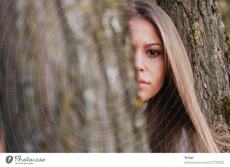 Schöne Frau hinter dem Stamm eines Baumes Lifestyle Glück schön Gesicht Freiheit Sommer Sonne Mensch Erwachsene Natur Herbst Wind Park Wald Mode blond Lächeln