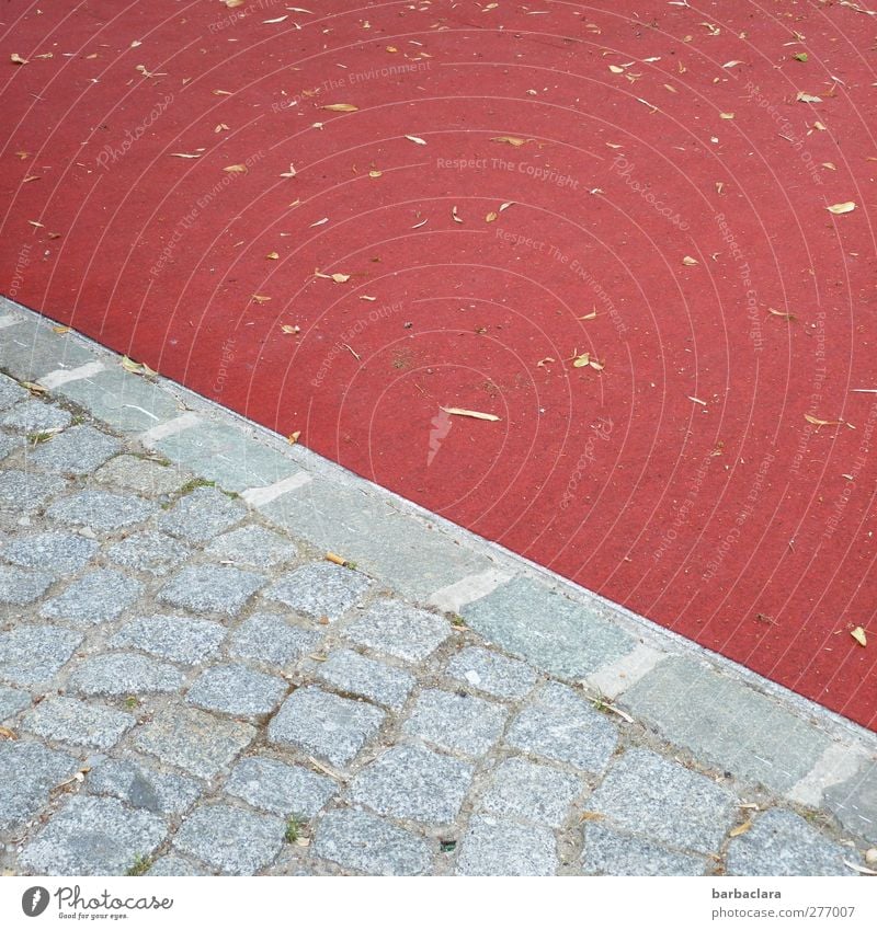 Der rote Platz Blatt Bürgersteig Pflastersteine Bodenbelag Stein Linie diagonal Stadt grau ästhetisch Farbe Kultur Umwelt Wege & Pfade Farbfoto Außenaufnahme