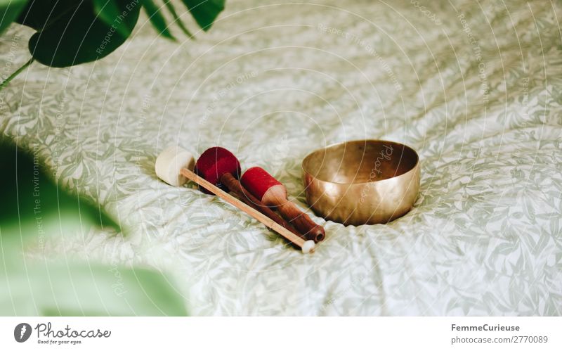 Singing bowl in a cozy home Gesundheit harmonisch Wohlgefühl Zufriedenheit Sinnesorgane Erholung ruhig Meditation Häusliches Leben achtsam Klangschale