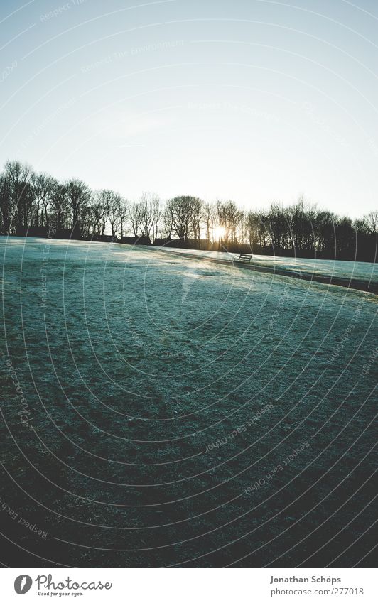 WWWW IV Umwelt Natur Landschaft Schönes Wetter Eis Frost Schnee Park Wiese Gefühle Zufriedenheit Lebensfreude Außenaufnahme Spaziergang Berghang Baum kalt