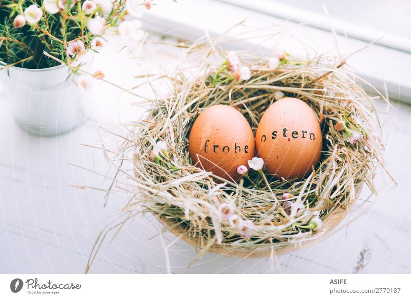 Ostereier mit Frohe Ostern Textmarke schön Handarbeit Dekoration & Verzierung Blume Gras Holz Ornament lustig natürlich niedlich Originalität weiß Tradition Ei