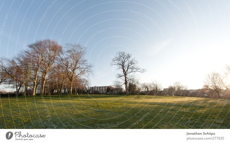 WWWP Umwelt Natur Landschaft Wolkenloser Himmel Horizont Sonne Frühling Winter ästhetisch Gefühle Zufriedenheit Lebensfreude Spaziergang Außenaufnahme England