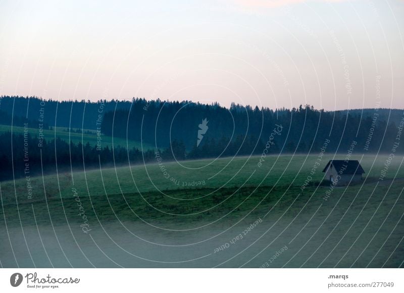 Good Morning Schwarzwald Tourismus Sommer Landschaft Himmel Nebel Wald Hügel Hütte schön Stimmung Landwirtschaft Farbfoto Gedeckte Farben Außenaufnahme