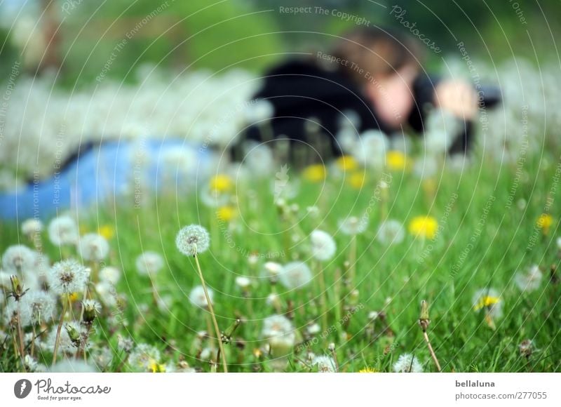 Eine Woche after! Mensch feminin Junge Frau Jugendliche Erwachsene Mutter Schwester Leben Körper 1 30-45 Jahre Umwelt Natur Pflanze Frühling Schönes Wetter