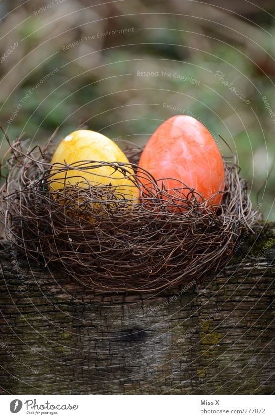 Versteck Lebensmittel Ernährung Ostern rund gelb Osternest Nest Osterei orange 2 Holz Ei Farbe bemalt verstecken Farbfoto mehrfarbig Außenaufnahme Nahaufnahme