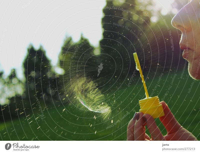 fehlstart Spielen Mensch feminin Mund 1 Baum Wiese Leben Seifenblase blasen platzen Wassertropfen zerspringen Farbfoto Außenaufnahme Nahaufnahme Detailaufnahme