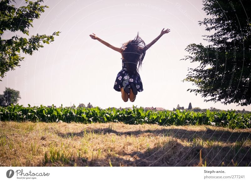 Freiheit Junge Frau Jugendliche Erwachsene Wolkenloser Himmel Sommer Baum Gras Wiese Feld Rock Kleid Bewegung genießen springen authentisch Fröhlichkeit positiv