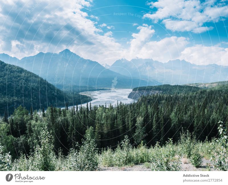 Fluss im Tal der Berge Landschaft Berge u. Gebirge Wald Ferien & Urlaub & Reisen Ausflugsziel natürlich Idylle Sommer reisend fließen frisch Tourismus friedlich