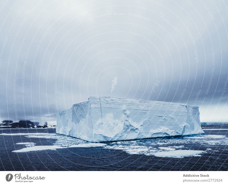 Gletscherwall im Meer Wand Eis Pinguin Eisberg Landschaft dramatisch Umwelt riesig Beautyfotografie Wasser polar Norden Arktis Ferien & Urlaub & Reisen Natur