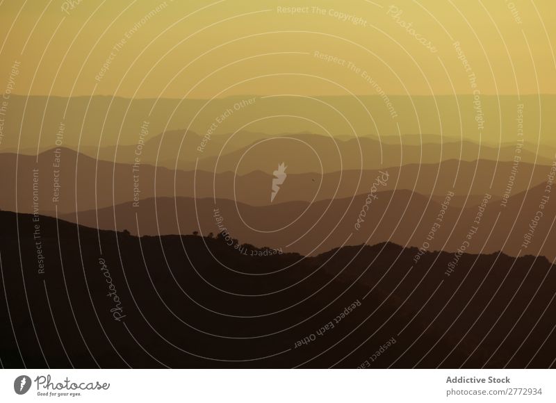 Hügel in gelbem Sonnenlicht Aussicht Steigung dunkel Licht Natur Landschaft Ferien & Urlaub & Reisen Berge u. Gebirge Gras Wald schön Länder Tal Sonnenuntergang