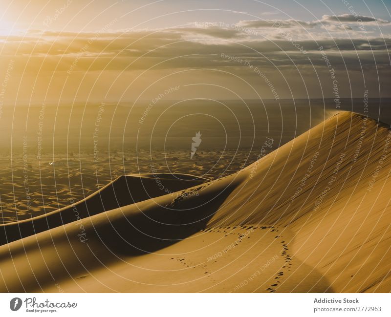 Sanddünen bei Wind Wüste Düne Landschaft regenarm Rippeln Ferien & Urlaub & Reisen Beautyfotografie Hintergrundbild heizen Gelände Sonnenlicht Abenteuer extrem