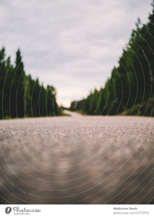 Nahaufnahme der gepflasterten Straße Wald Konsistenz Natur Landschaft Wege & Pfade Asphalt Wetter ländlich Szene rau gerade ausleeren Fahrbahn ruhig