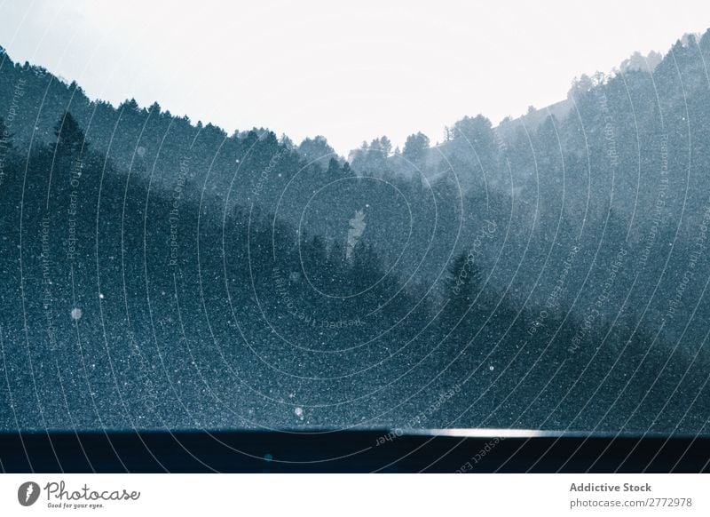 Schneefall in dunklen Wäldern Wald Baumkrone nadelhaltig Landschaft Winter Natur harmonisch Immergrün ruhig natürlich Jahreszeiten Ferien & Urlaub & Reisen