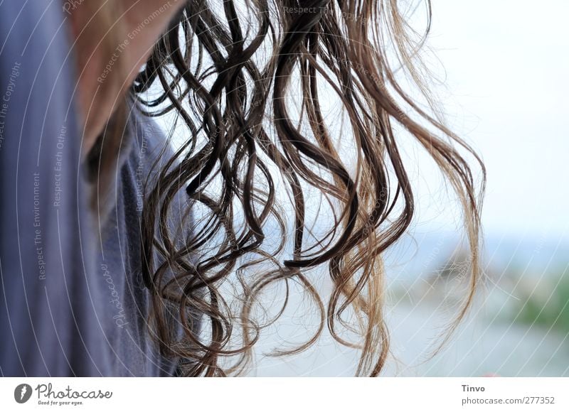 Langes leicht gewelltes feuchtes Haar 1 Mensch Haare & Frisuren brünett langhaarig Locken frisch natürlich blau trocknen wehen hängend wellig Farbfoto