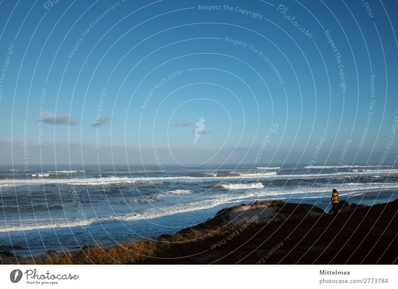 woman looking at the waves in morrning light at a beach Ferien & Urlaub & Reisen Tourismus Abenteuer Ferne Freiheit Sommerurlaub Wellen 1 Mensch Landschaft