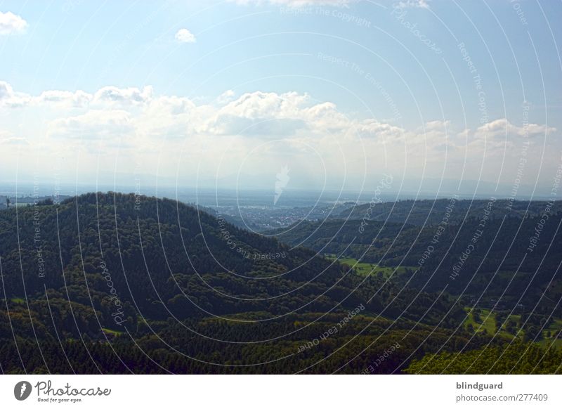 Far Far Away Natur Landschaft Pflanze Himmel Wolken Sommer Schönes Wetter Wildpflanze Wald Hügel Berge u. Gebirge atmen entdecken blau braun grün schwarz weiß