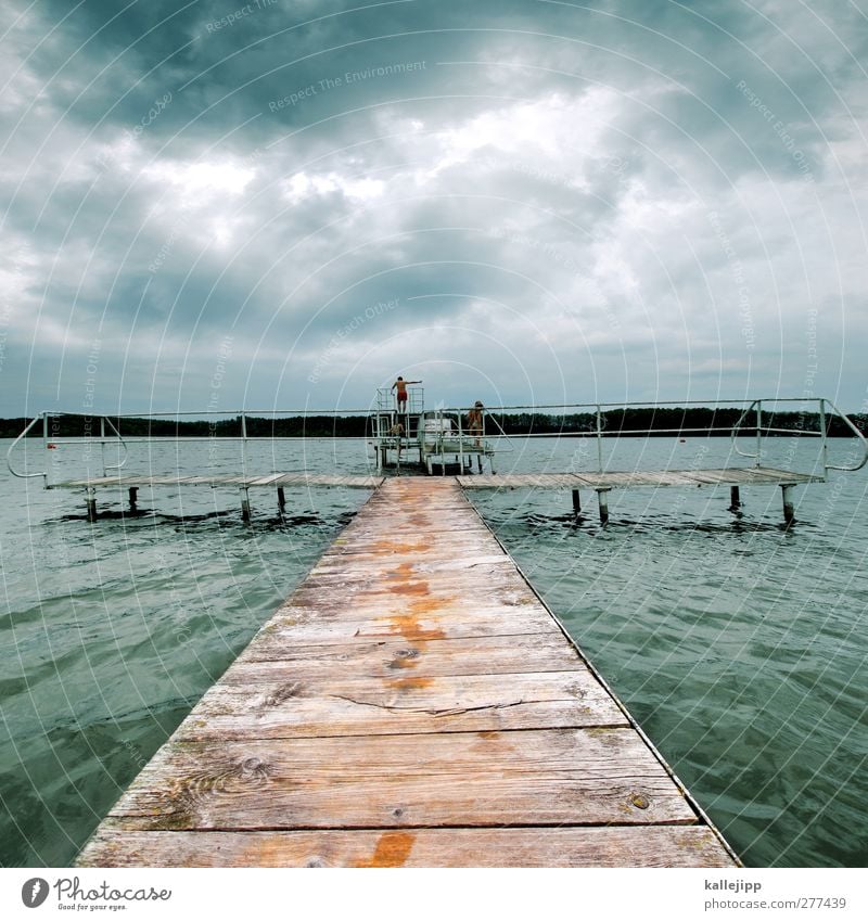 olympischer gedanke Freizeit & Hobby Schwimmen & Baden Schwimmbad Mensch Mann Erwachsene Leben Körper 1 Wasser Wolken Gewitterwolken Sommer schlechtes Wetter