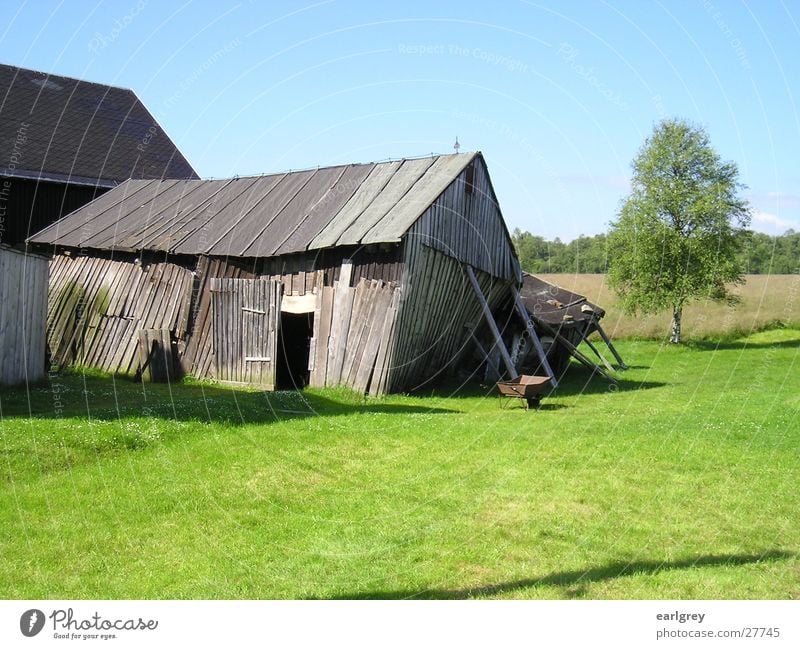 Tür zu! Es zieht! Scheune Holz verfallen abstützen umfallen Wiese saftig grün Birke Schubkarre Rost Erzgebirge Architektur Tor alt einsturzgefärdet abgestützt