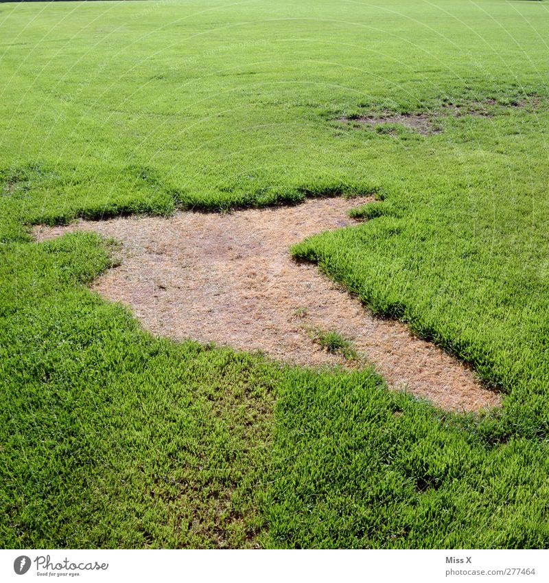 Grasfleck Fußballplatz Natur Wiese kaputt grün Loch Sportrasen Farbfoto Außenaufnahme Muster Menschenleer