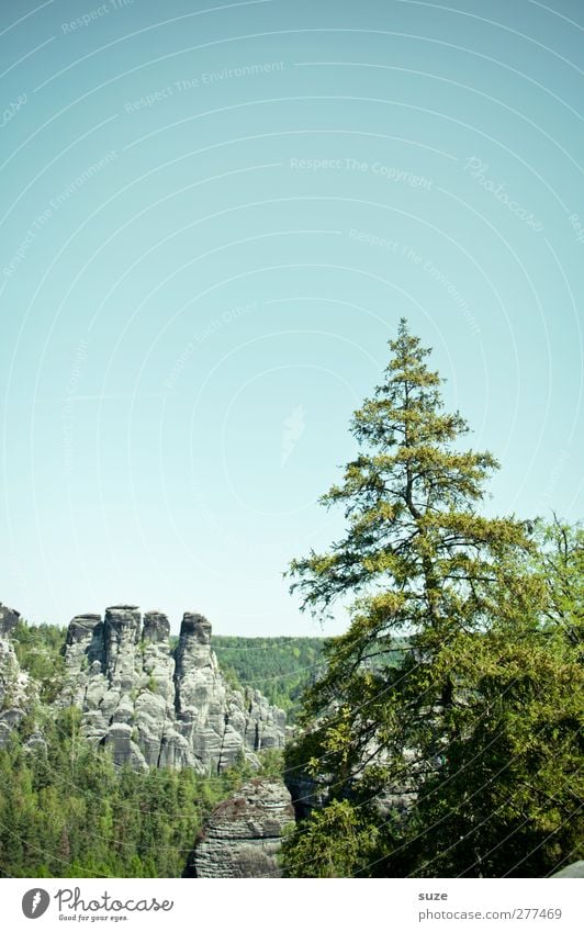 Ä tännschen, please. Ferne Freiheit Berge u. Gebirge Umwelt Natur Landschaft Pflanze Himmel Wolkenloser Himmel Klima Schönes Wetter Baum Felsen Wachstum