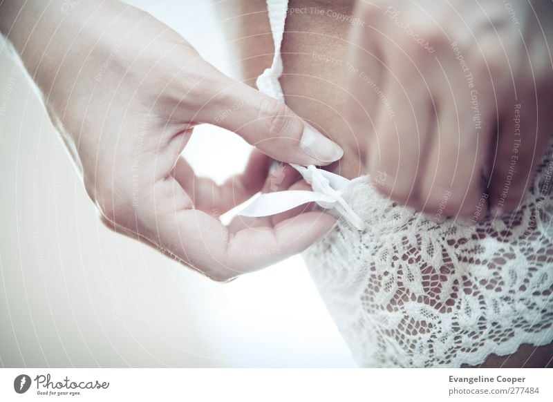 Hochzeit Dessous Close-Up Körper feminin Frau Erwachsene Hand Beine 1 Mensch Strümpfe Unterwäsche hell Erotik weiß Glück Vorfreude Farbfoto mehrfarbig