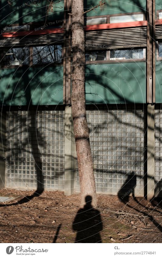 baum mit schatten Mensch Erwachsene 1 Schönes Wetter Baum Gebäude Mauer Wand Fassade Fenster Identität komplex Farbfoto Außenaufnahme Tag Licht Schatten