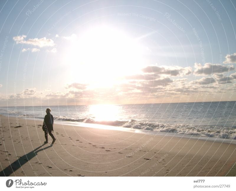 Strandwanderer im Herbst Einsamkeit Meer Sylt Mensch Ferne Wasser Sonne Schatten