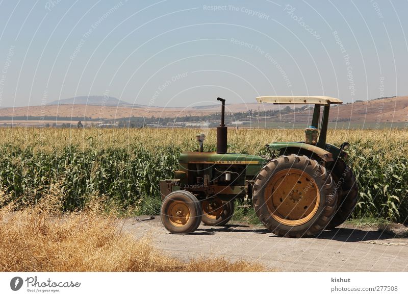 ländliche Schönheit Umwelt Natur Landschaft Erde Himmel Wolkenloser Himmel Sommer Klima Wetter Schönes Wetter Nutzpflanze Feld Hügel Gipfel Wege & Pfade Traktor