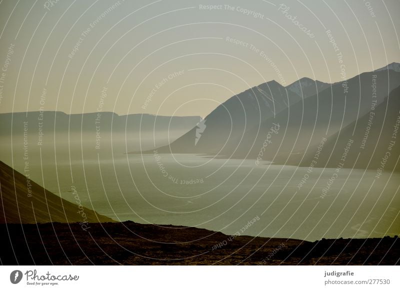 Island Umwelt Natur Landschaft Wasser Felsen Berge u. Gebirge Fjord kalt schön wild Stimmung Idylle ruhig Nebel Dunst Farbfoto Gedeckte Farben Außenaufnahme