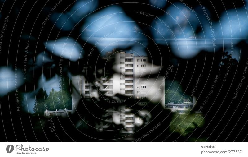 Durchblick Umwelt Natur Landschaft Sommer Baum See Haus Hochhaus Gebäude blau grau grün schwarz Berge u. Gebirge Beton Pflanze Farbfoto Gedeckte Farben