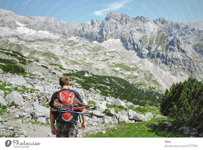 auf Wanderschaft Ferien & Urlaub & Reisen wandern Mensch maskulin Junger Mann Jugendliche 1 18-30 Jahre Erwachsene Natur Landschaft Himmel Sommer Gras Sträucher