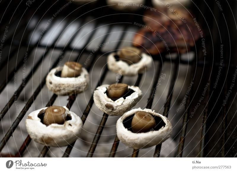 Grillpilze Gemüse Pilz Champignons Picknick Vegetarische Ernährung frisch Gesundheit braun grau schwarz silber weiß Grillen Grillrost Grillkohle Farbfoto