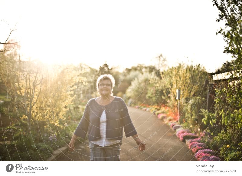 Licht Frau Erwachsene Leben 1 Mensch 45-60 Jahre Schönes Wetter Blume Sträucher Wege & Pfade Warmherzigkeit Freizeit & Hobby Farbfoto Außenaufnahme Experiment