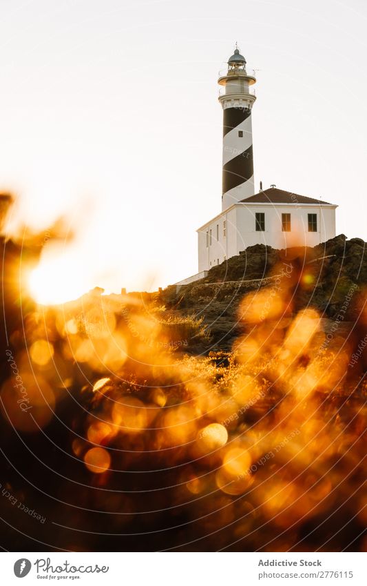 Bakenturm im Sonnenuntergang Leuchtfeuer Leuchtturm Hügel Licht Wahrzeichen Ferien & Urlaub & Reisen Natur Turm Landschaft Klippe Tourismus Navigation