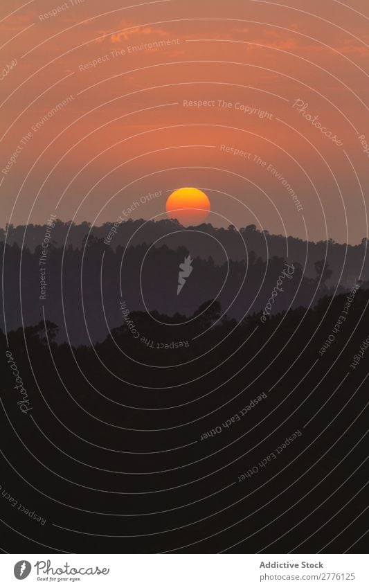 Sonnenuntergang im Wald Hügel Landschaft Natur Himmel Ferien & Urlaub & Reisen Sommer Berge u. Gebirge schön Aussicht Sonnenlicht Tourismus Licht Abend