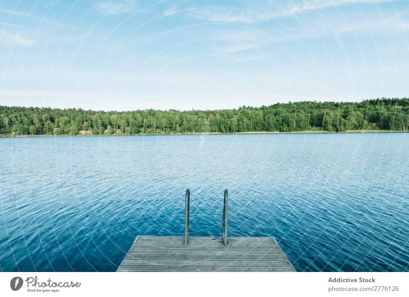 Holzpfeiler und blauer See Anlegestelle Wasser Küste Landschaft Natur Sommer Ferien & Urlaub & Reisen Beautyfotografie Brücke schön Wald Park Aussicht