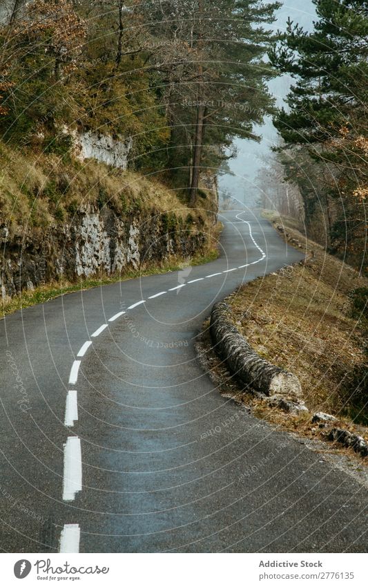 Asphaltstraße in Hügeln Straße Wald Aussicht dünn Natur ausleeren Länder Baum Nebel Landschaft Wege & Pfade Ausflug Linie Verkehr schön Menschenleer Herbst