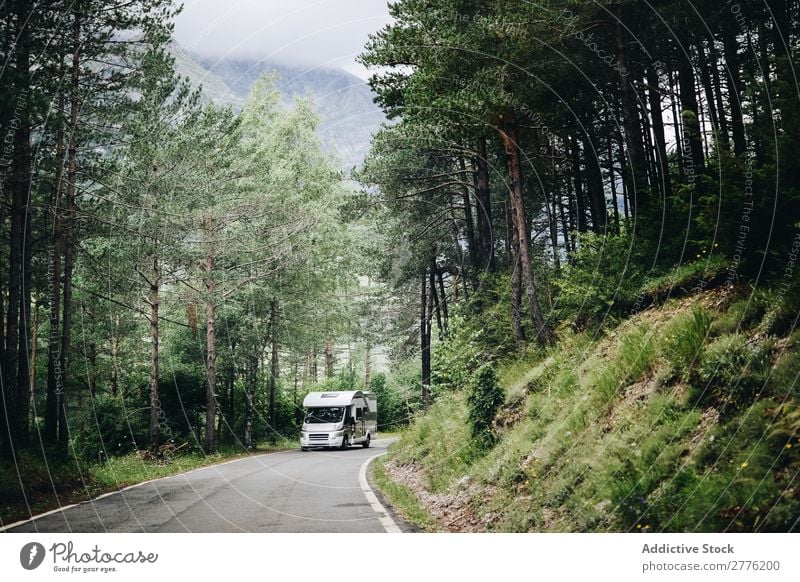 Lkw-Fahrten auf Waldwegen Lastwagen Straße Verkehr Fahrzeug PKW Landschaft Fracht Spedition Laufwerk Anhänger Holz Baum Natur Ausritt Asphalt Weg Hügel