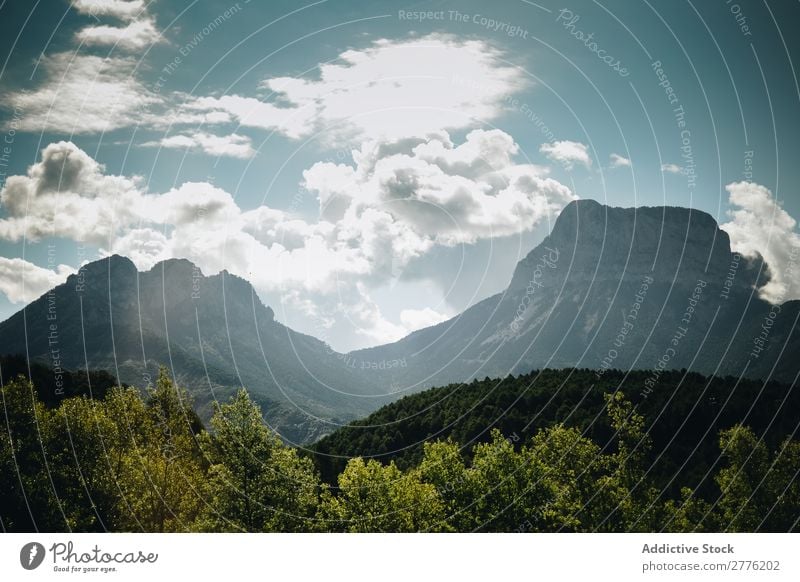 Ruhige grüne Berge Wald Klippe schön Berge u. Gebirge Landschaft Wolken Himmel Natur Aussicht wandern alpin Hügel Gipfel Höhe Reinheit friedlich Menschenleer